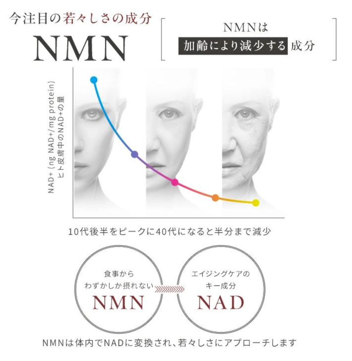 国内産 養庵堂 NMN 18000 30日分120粒